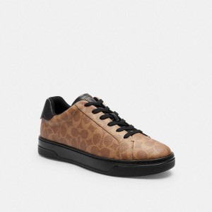 COACH® High Line In Signature Canvas Men Sneakers Brown | BPLG72603
