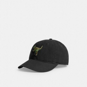 COACH® Rexy Patch Baseball Men Hat Black | PDYS14302