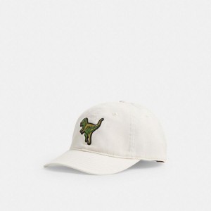 COACH® Rexy Patch Baseball Men Hat White | ROIK96481