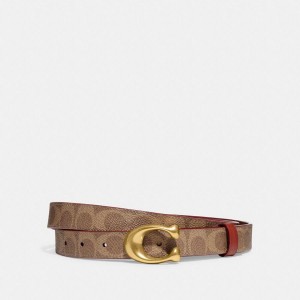 COACH® Sculpted C Buckle Cut To Size Reversible, 25 Mm Women Belts Brown | ASEJ43197