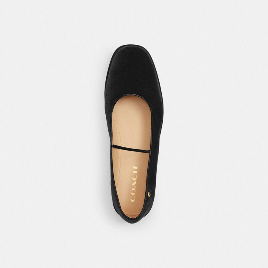 COACH® Emilia Mary Jane Women Loafers Black | UNLO37450