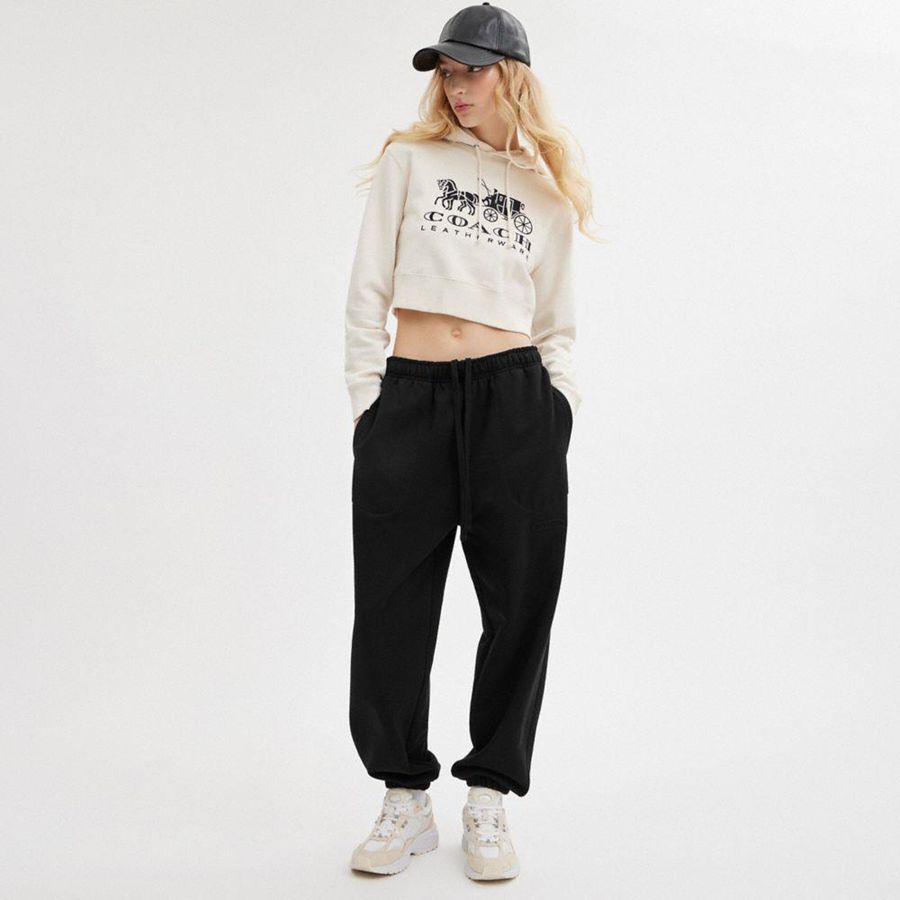 COACH® Essential Solid Joggers Women Pants Black | CHQW58479