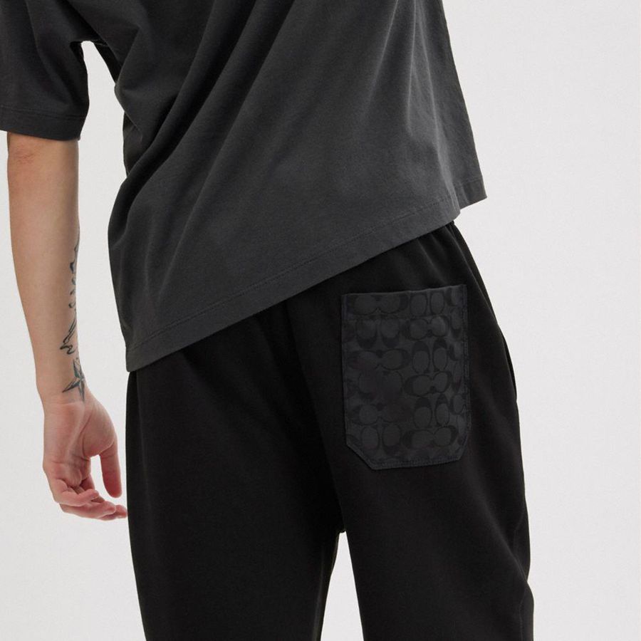 COACH® Essential Solid Joggers Women Pants Black | CHQW58479