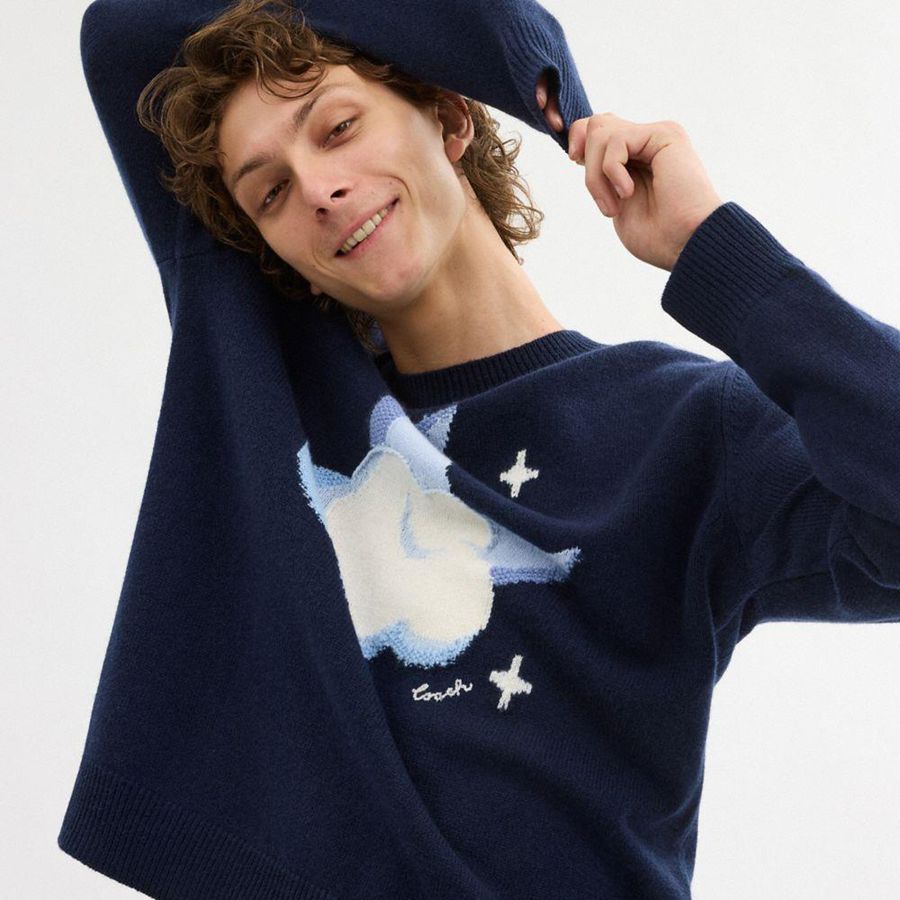 COACH® Graphic Intarsia Crewneck Men Sweater Navy | YTON95482