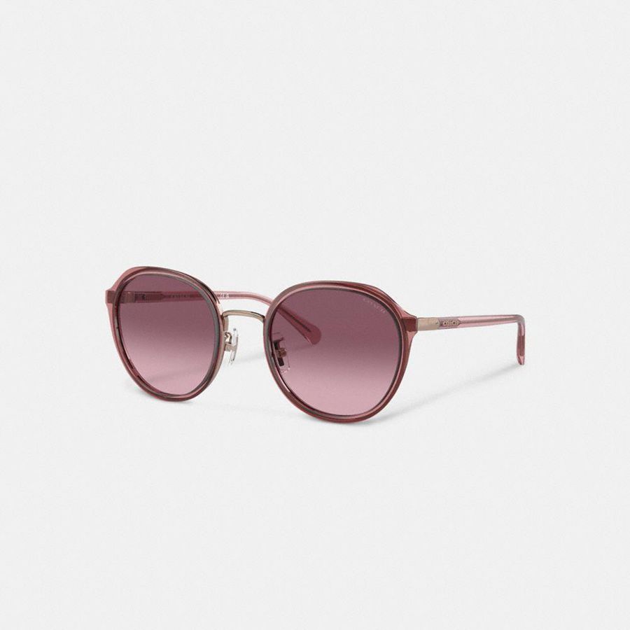 COACH® Hangtag Geometric Round Women Sunglasses Pink | GOCI63572