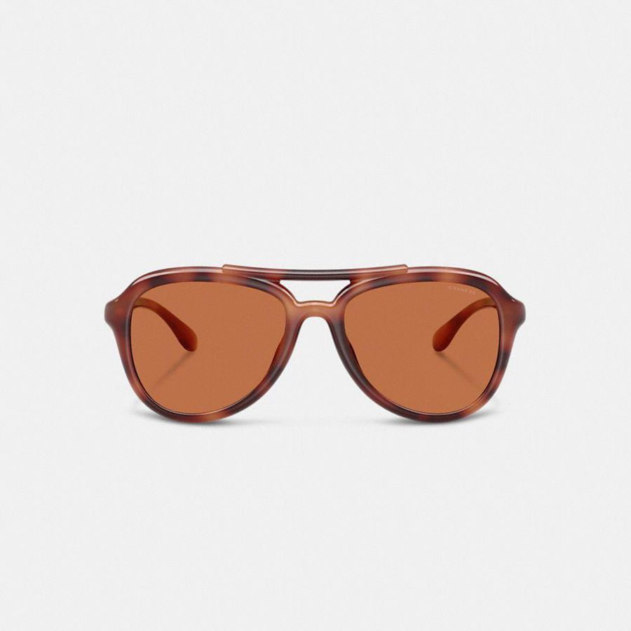 COACH® Hardware Pilot Women Sunglasses Brown | YSXG75136