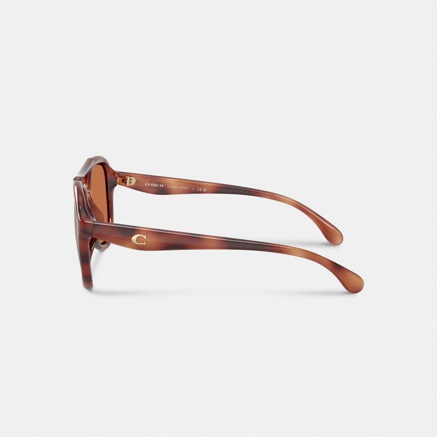 COACH® Hardware Pilot Women Sunglasses Brown | YSXG75136
