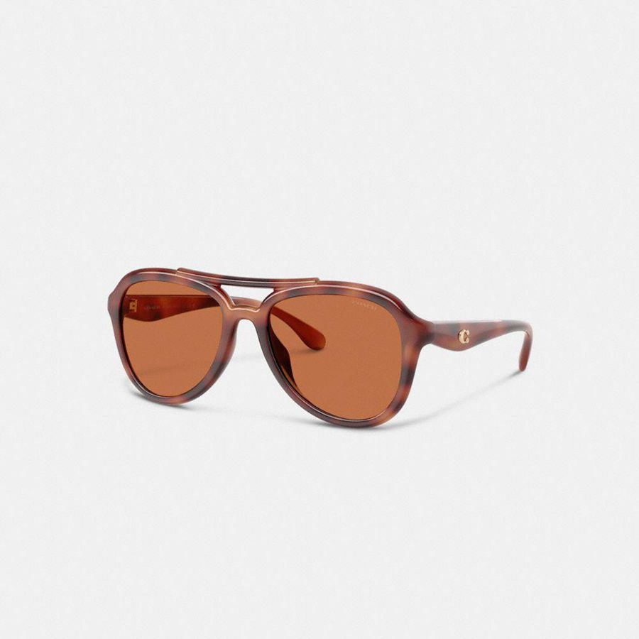 COACH® Hardware Pilot Women Sunglasses Brown | YSXG75136