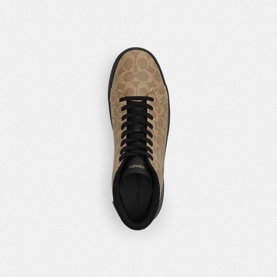 COACH® High Line High Top In Signature Canvas Men Sneakers Brown | UJHQ14609
