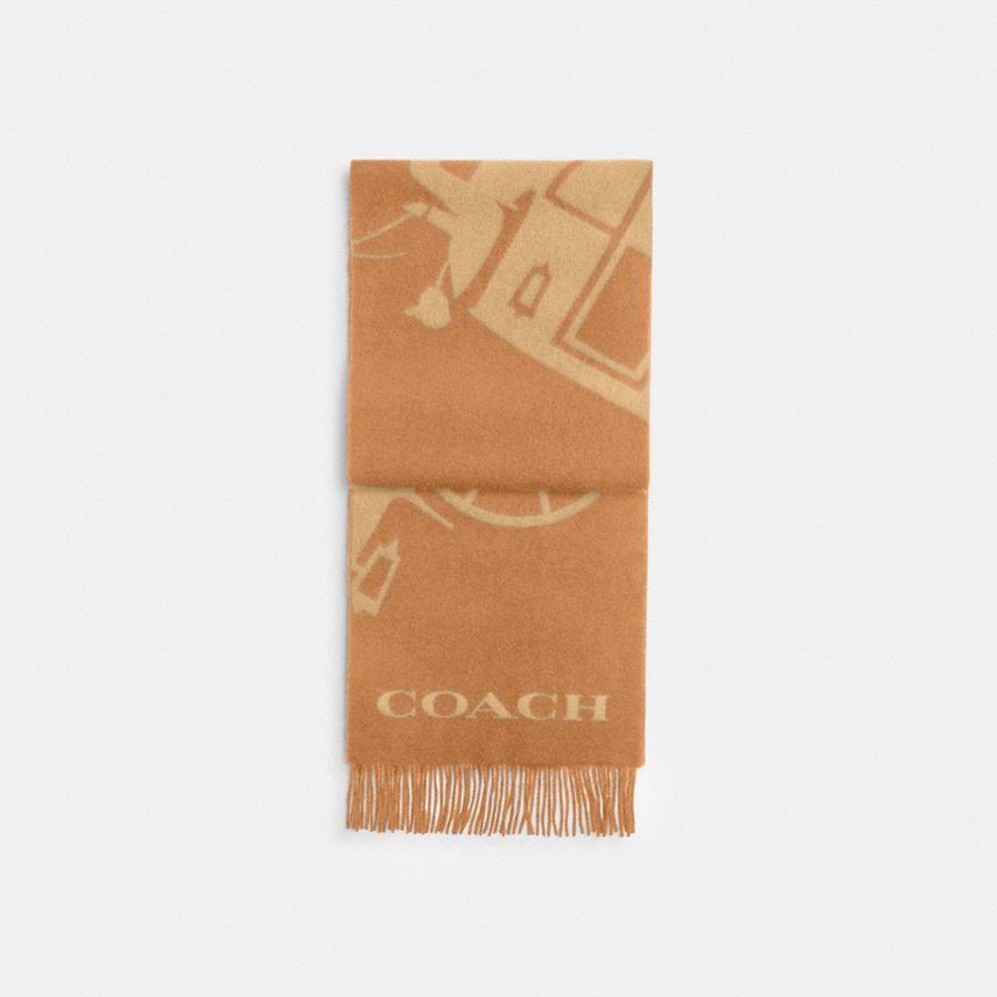COACH® Horse And Carriage Cashmere Muffler Men Scarf Brown | NFLW25917