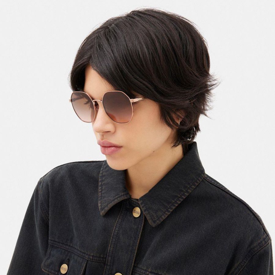 COACH® Metal Hexagon Women Sunglasses Brown | VQFW08624
