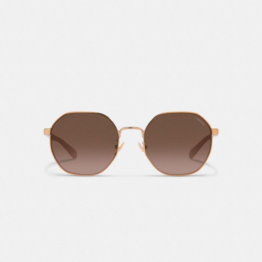 COACH® Metal Hexagon Women Sunglasses Brown | VQFW08624