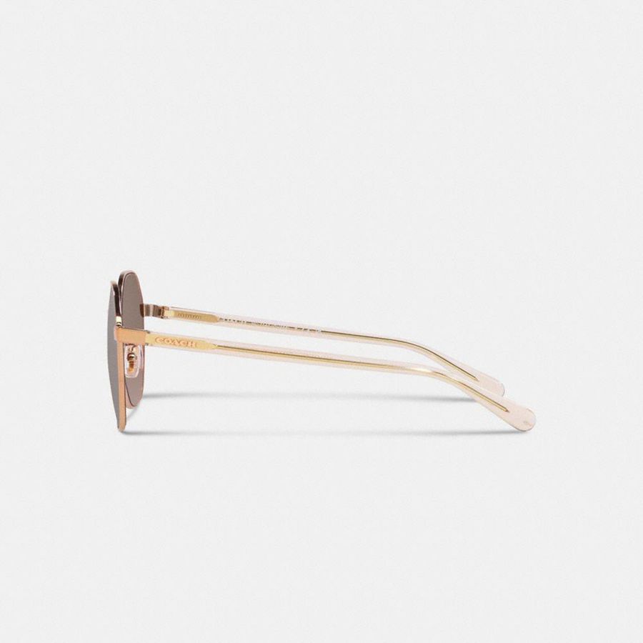 COACH® Metal Hexagon Women Sunglasses Brown | VQFW08624