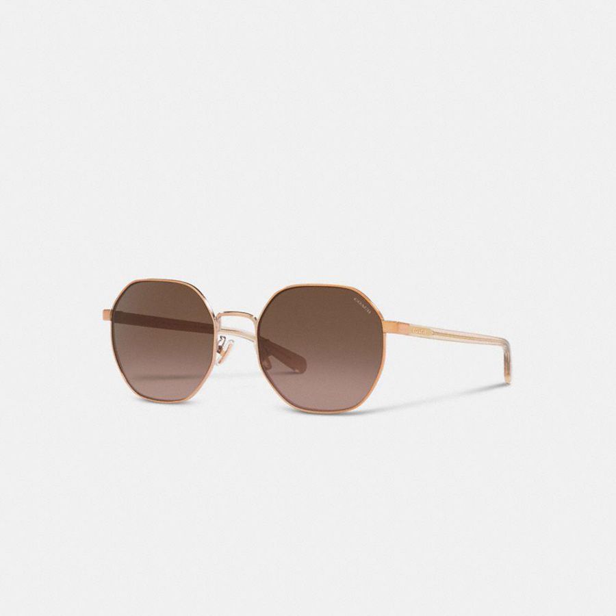 COACH® Metal Hexagon Women Sunglasses Brown | VQFW08624