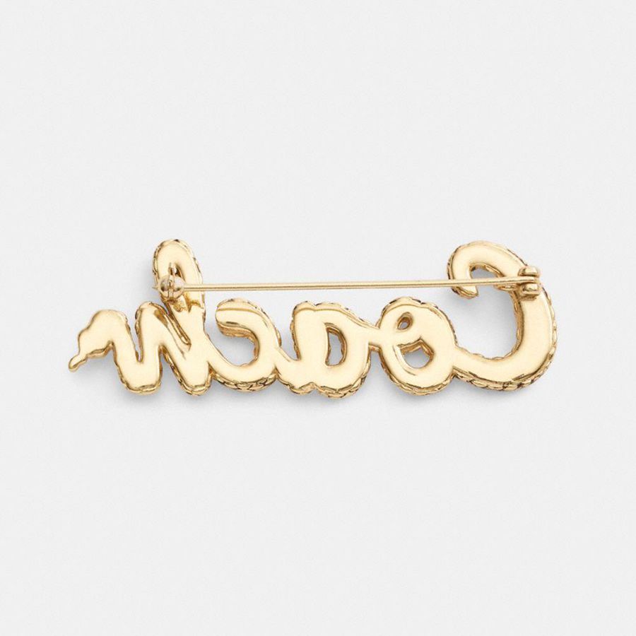 COACH® New Year Coach Snake Script Brooch Women Jewelry Gold | PNQA72564
