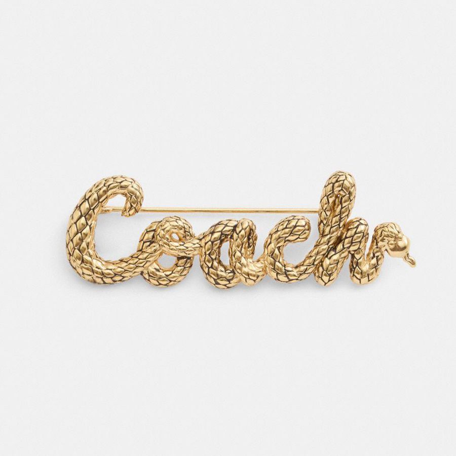 COACH® New Year Coach Snake Script Brooch Women Jewelry Gold | PNQA72564