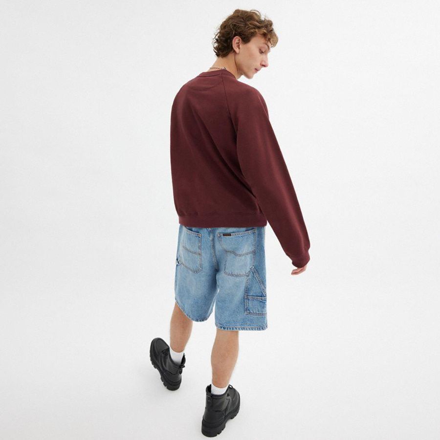 COACH® New Year Coach Snake Script Men Sweatshirt Burgundy | NWAF78291