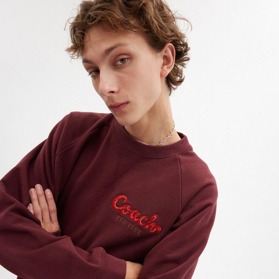 COACH® New Year Coach Snake Script Men Sweatshirt Burgundy | NWAF78291