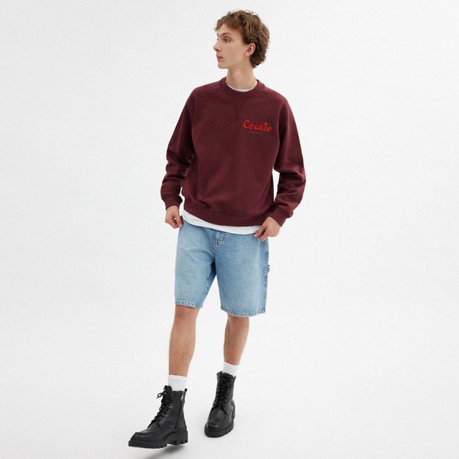 COACH® New Year Coach Snake Script Men Sweatshirt Burgundy | NWAF78291