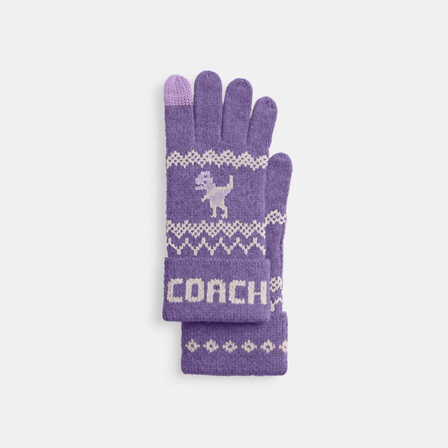 COACH® Rexy Fair Isle Print Knit Women Gloves Purple | MNFC45193