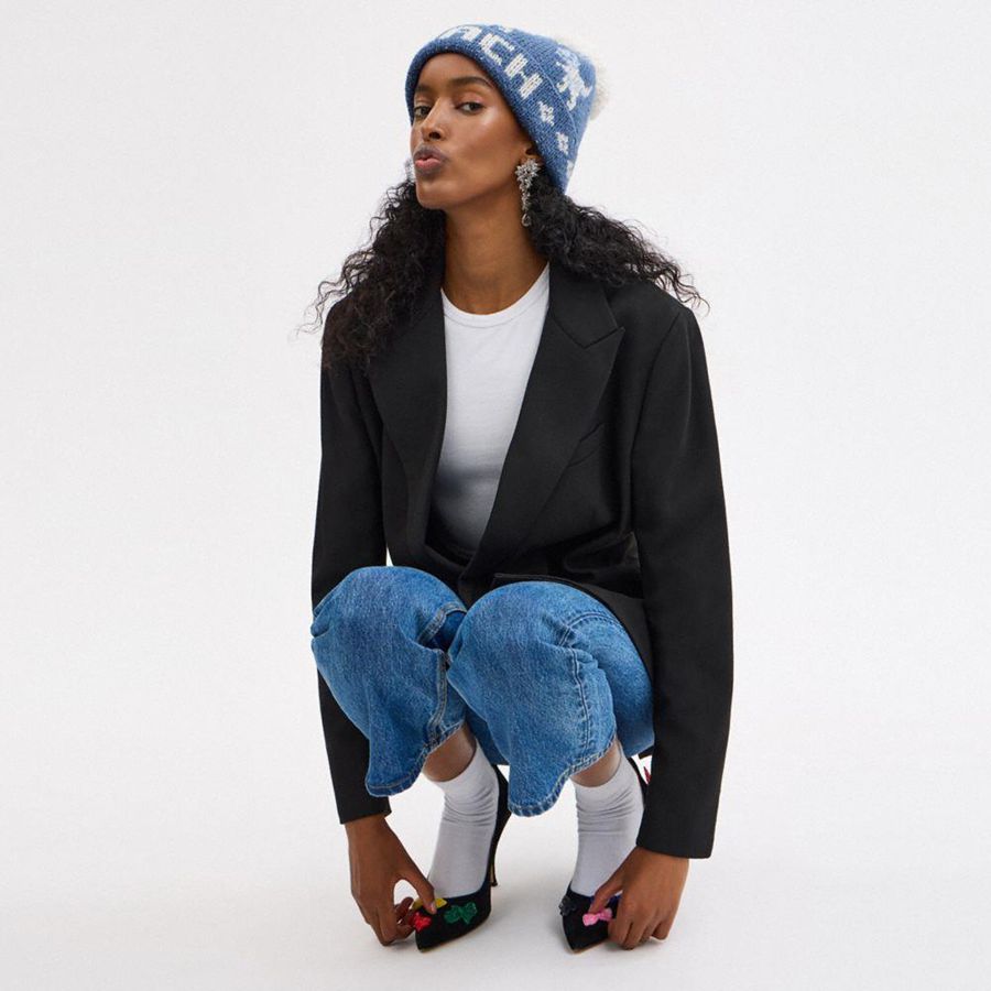 COACH® Rexy Fair Isle Print Men Beanie Blue | VNCZ09462