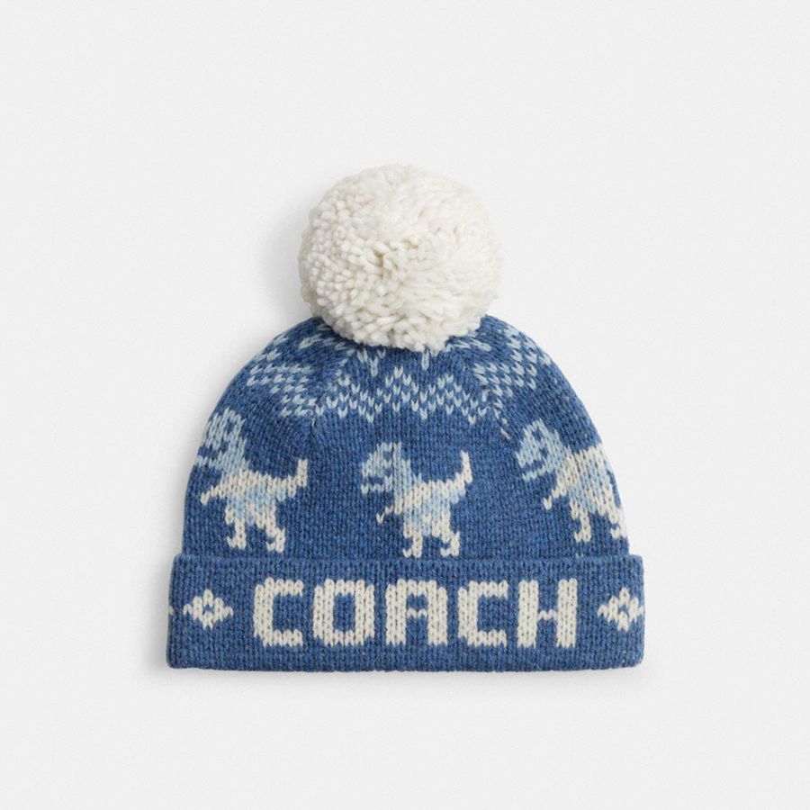 COACH® Rexy Fair Isle Print Women Beanie Blue | BQPH13547