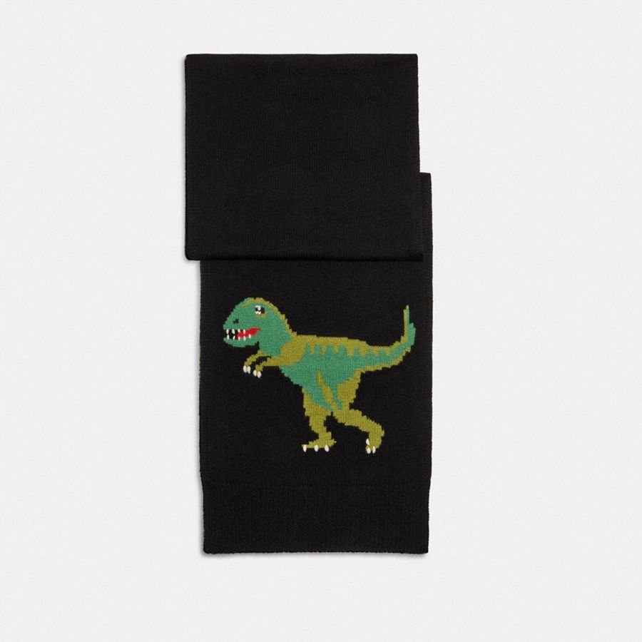 COACH® Rexy Muffler Women Scarf Black | LDHC91827