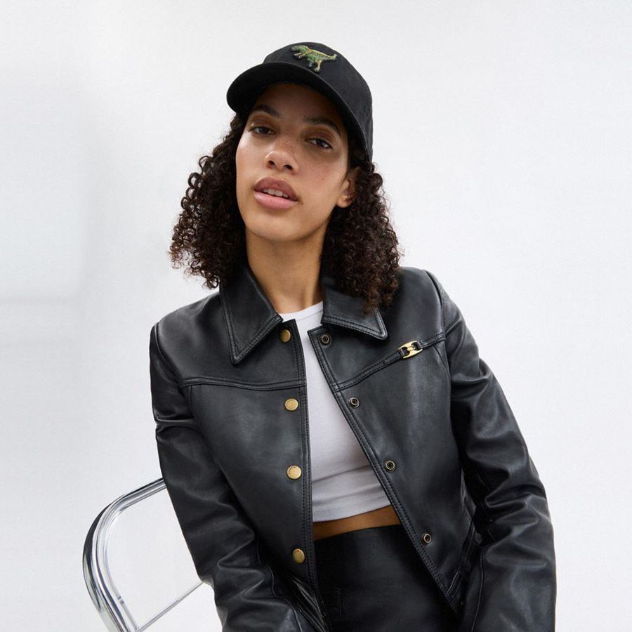 COACH® Rexy Patch Baseball Women Hat Black | RIMA48150