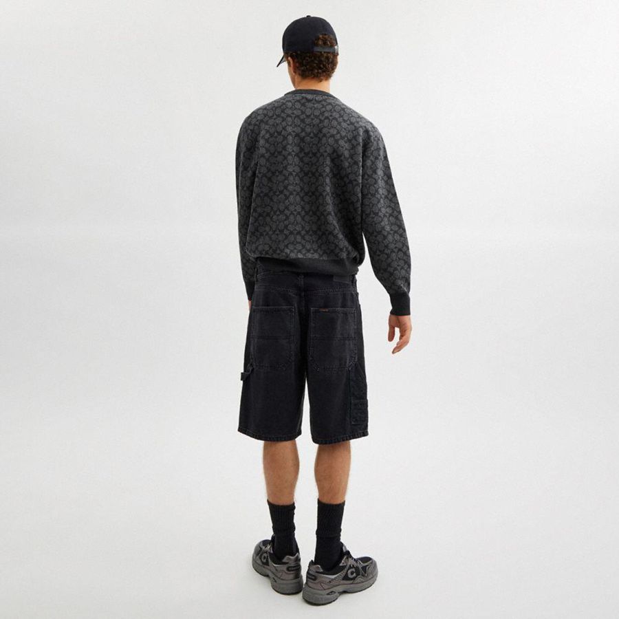 COACH® Signature Crewneck Men Sweater Grey | IVGY64018