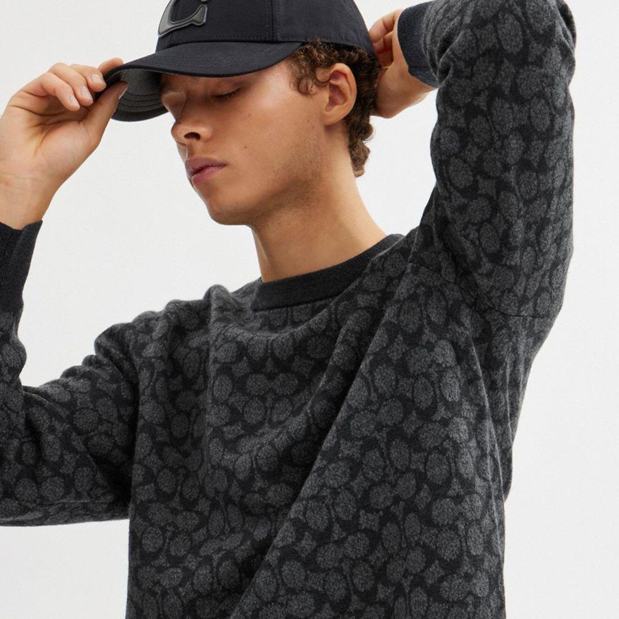 COACH® Signature Crewneck Men Sweater Grey | IVGY64018