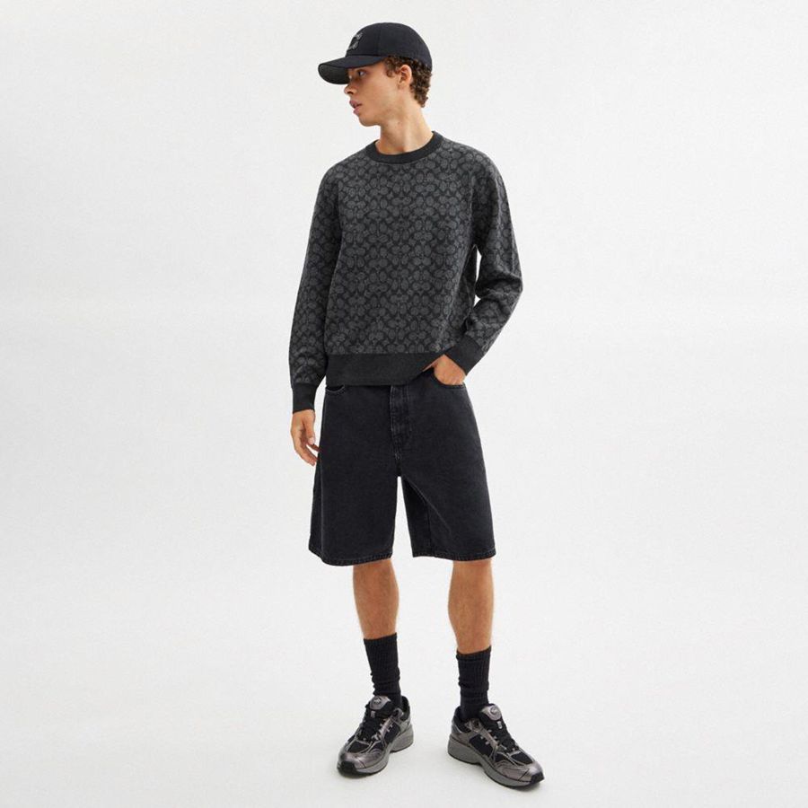 COACH® Signature Crewneck Men Sweater Grey | IVGY64018