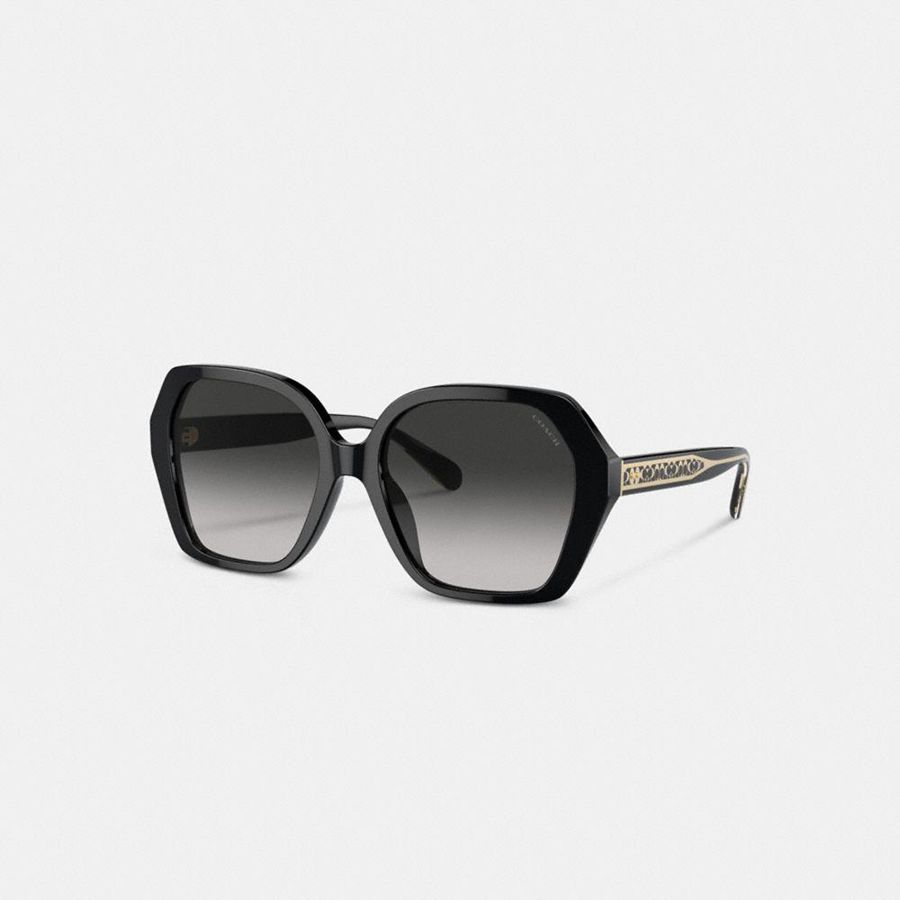 COACH® Signature Ombré Geometric Square Women Sunglasses Grey | UNQJ92745
