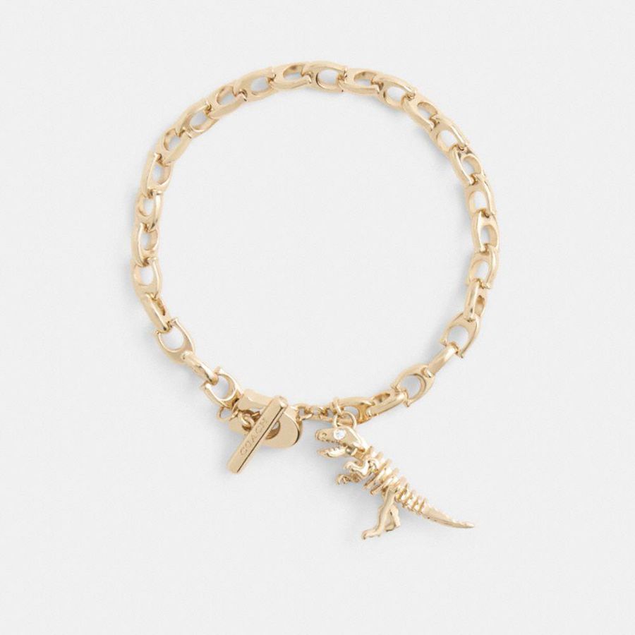 COACH® Skeletal Rexy Signature Chain Bracelet Women Jewelry Gold | ERVW73081
