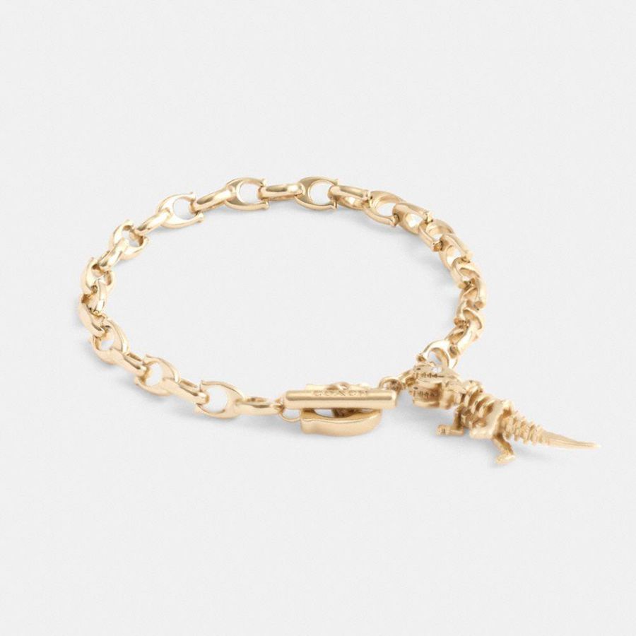 COACH® Skeletal Rexy Signature Chain Bracelet Women Jewelry Gold | ERVW73081