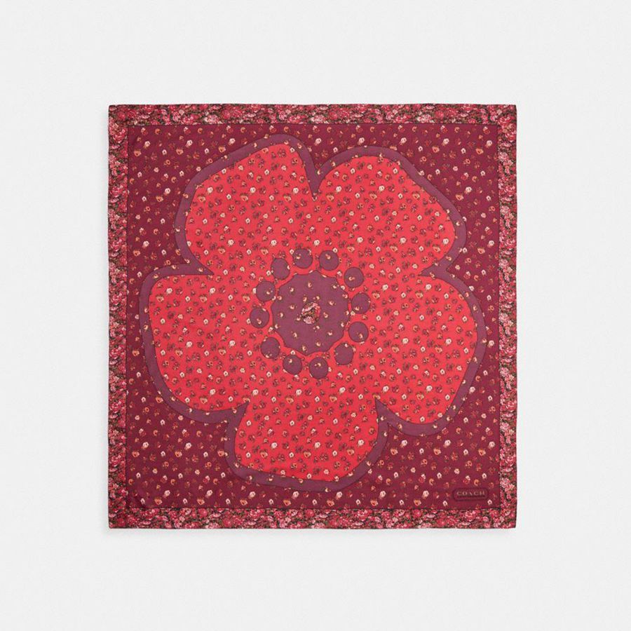 COACH® Tea Rose Floral Print Silk Square Women Scarf Red | QANC59183